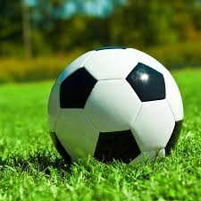 大赢家即时比分手机版品牌标识