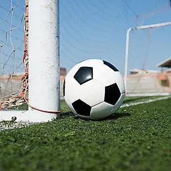 大赢家即时比分手机版多设备展示